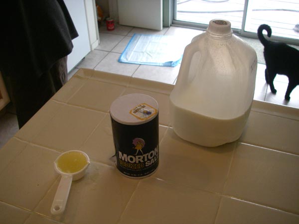 Lemon juice, salt, and whole milk.  It's very simple.